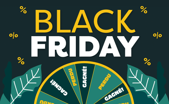 BLACK FRIDAY – 2025